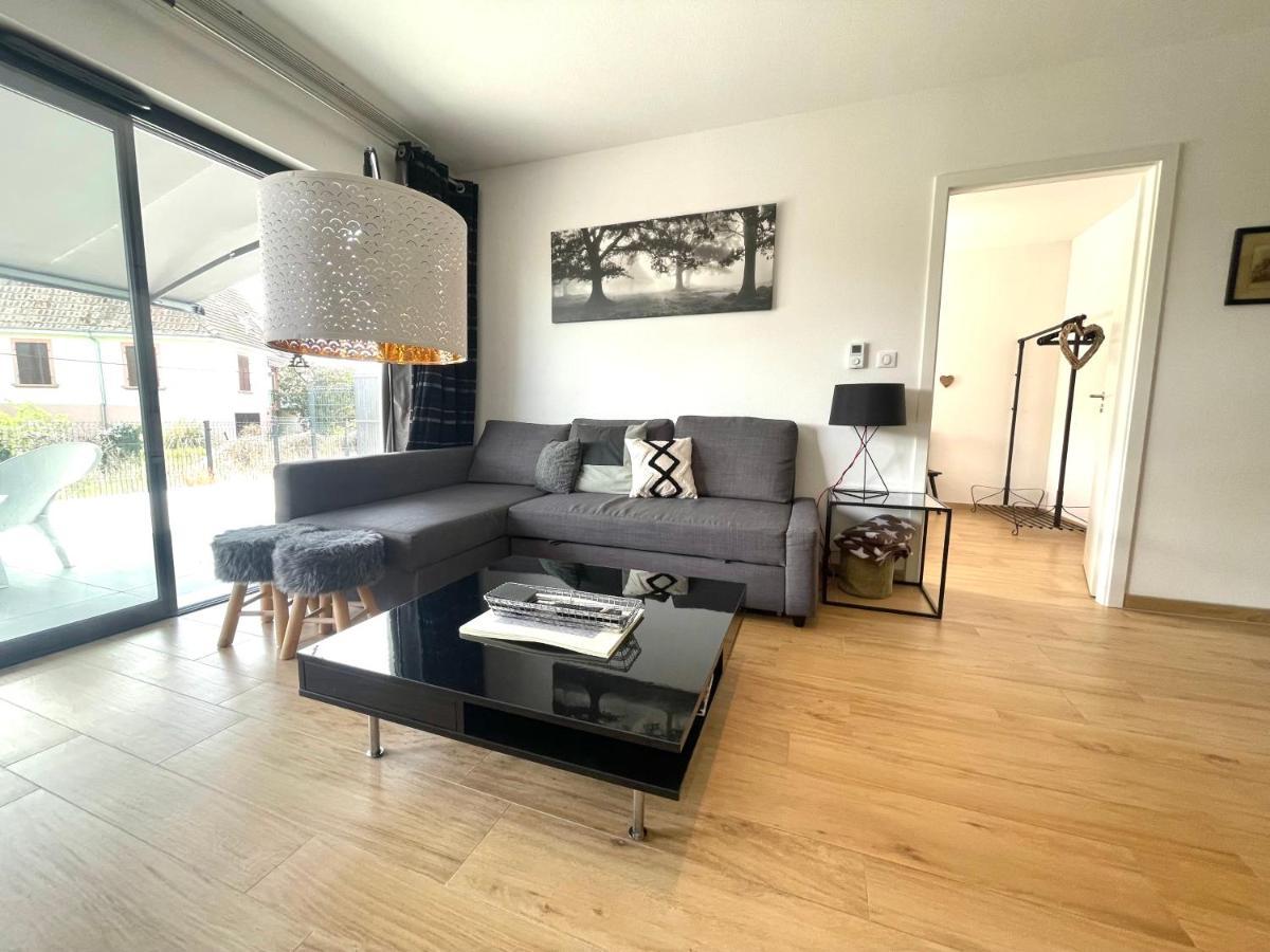 Magnifique 2 Pieces, Tout Equipe, Terrasse Privee Кольмар Экстерьер фото